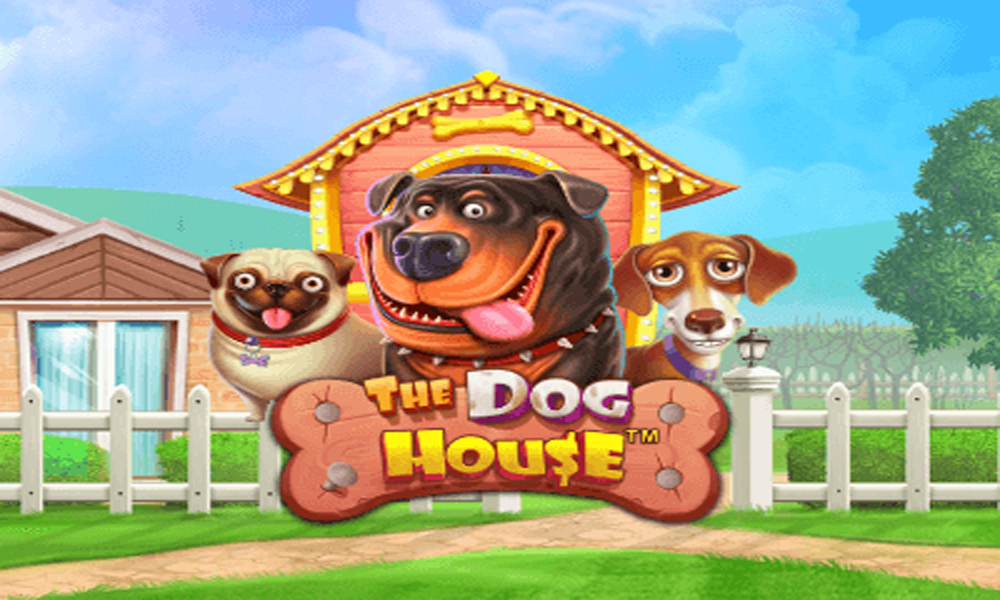 You are currently viewing The Dog House: Surga Kecil Bagi Pecinta Anjing